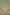 Sea Green