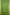 Fancy Geogette Saree Allover Gold Jaal Banarasi Saree  - Green