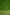 Fancy Geogette Saree Allover Gold Jaal Banarasi Saree  - Green