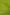 Fancy Geogette Saree Allover  Silver Jaal Banarasi Saree  - Green