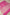 Fancy Katan Silk Gold Zari Jaal Work Banarasi Saree - Pink
