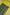 Fancy Geogette Saree Allover Gold Jaal Banarasi Saree  - Bottle Green X Yellow