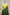 Fancy Geogette Saree Allover Gold Jaal Banarasi Saree  - Bottle Green X Yellow