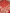 Red Pure Katan Silk Banarasi Sarees