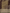 Bronze Pure Tissue Silk Ropa Sona Kadiyal Booti Handloom Banarasi sarees