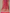 Rani Pink Pure Katan Silk Banarasi Saree
