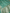 Sea Green Pure Katan Silk Banarasi Sarees