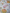 Grey pure cotton digital prints sarees with allover floral prints and zari woven border