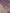 Lavender Pure Katan Silk Mina Kadua Motif Banarasi Handloom sarees