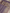 Lavender Pure Katan Silk Mina Kadua Motif Banarasi Handloom sarees