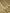 Gold Pure Tissue Silk Ropa Sona Kadiyal Booti Handloom Banarasi sarees