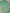 Pure Georgette kadua Banarasi Handloom Saree - Sea Green