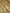 Gold Pure Tissue Silk Ropa Sona Kadiyal Booti Handloom Banarasi sarees