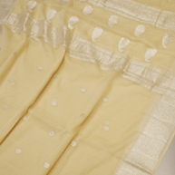 Pure Georgette kadua Banarasi Handloom Saree - Beige