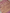 Lavender Pink Cotton Digital Print sarees