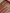 Pure Katan Silk Zari Tanchui Brocade Banarasi Saree - Red