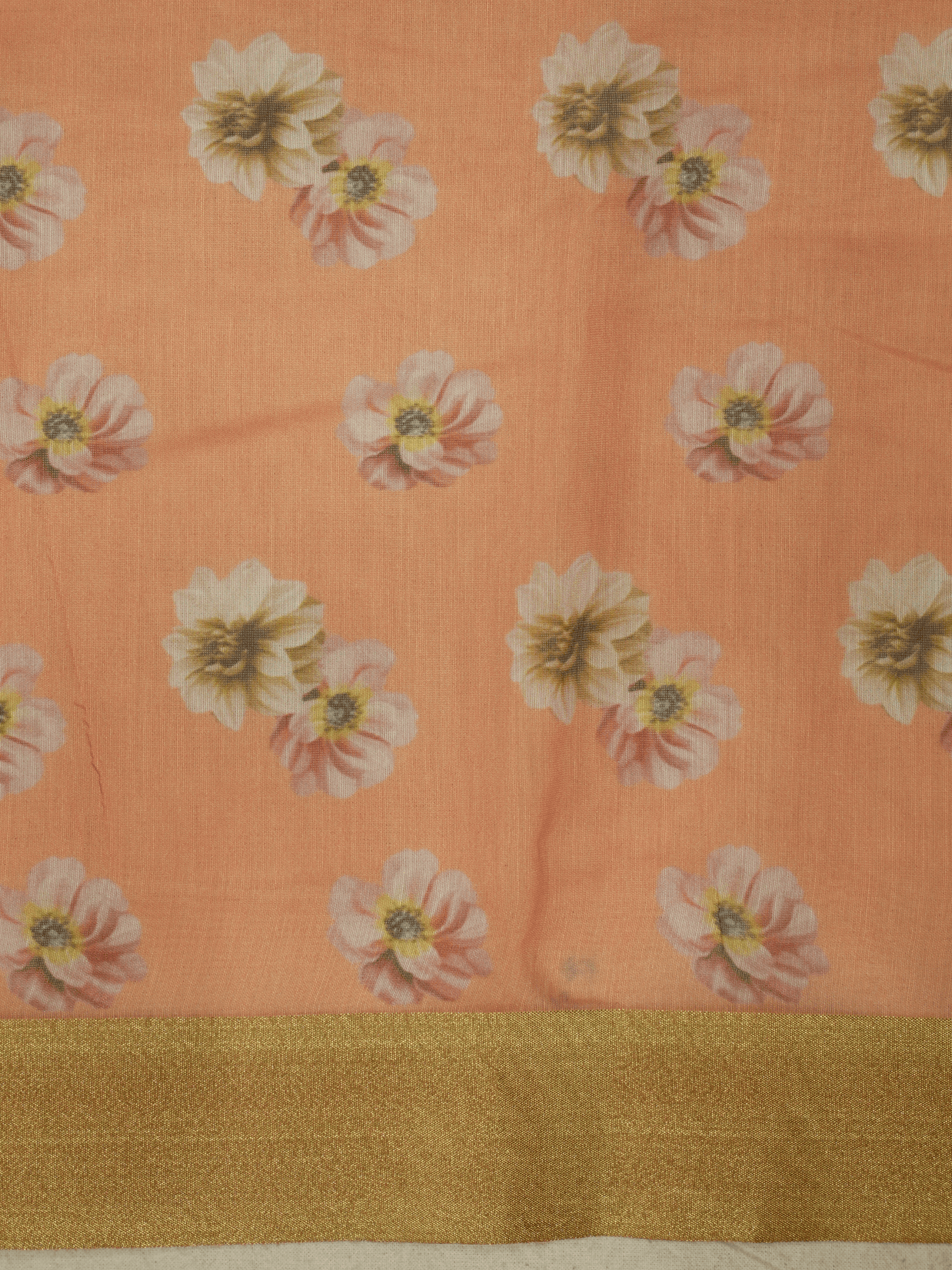 Pitch  Colour Cotton Digital Print sarees with Skirt Chikankaari work