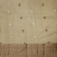Pure Tissue silk Handloom Banarasi sarees with coffee zari