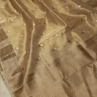 Pure Tissue silk Handloom Banarasi sarees with coffee zari