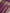 Royal Magenta Pure Katan Silk kadiyal Jaal Handloom Banarasi Sarees
