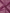 Mejanta Colour Fancy Silk Antic Copper Zari booti Saree