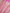 Pure Katan Silk Zari Tanchui Brocade Banarasi Saree - Pink