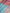 Sky Blue Pure Kora Silk Ropa Sona Kadua Motif Handloom Banarasi sarees