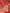 Red Pure Katan Silk Banarasi Sarees With Silver Mina