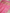 Raspberry pink Colour Pure Kadwa Raw Mango Silk Banarasi Saree with silver & gold zari