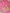 Raspberry pink Colour Pure Kadwa Raw Mango Silk Banarasi Saree with silver & gold zari