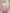 Pure Georgette kadua Banarasi Handloom Saree - Baby Pink