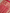 Pure Katan Silk Zari Motif Banarasi Saree - Red