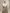 Beige Pure Kora Silk Ropa Sona Kadua Motif Handloom Banarasi sarees