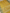 Gold colour Fancy Kora Rangkart Multi Colour Jaal with Contrast Gray border