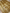 Beige Pure Tissue Silk Ropa Sona Kadiyal Booti Handloom Banarasi sarees