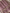 Pure Katan Silk Zari Motif Banarasi Saree - Magenta