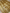 Beige Pure Tissue Silk Ropa Sona Kadiyal Booti Handloom Banarasi sarees