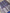 Pure Katan Silk Banarasi Sarees With Multi Colour Mina Work - Royal Blue