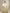 Pure Georgette kadua Banarasi Handloom Saree - Beige