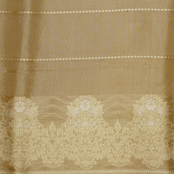 Beige Pure Tissue Silk Ropa Sona Kadiyal Booti Handloom Banarasi sarees