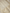 Pure Katan Silk Zari Jaal Patola Banarasi Saree - White