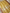 Gold Pure Tissue Silk Ropa Sona Kadiyal Booti Handloom Banarasi sarees