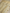 Pure Kora Silk Handloom Saree with Sona Rupa Zari in Cream colour