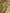 Gold Pure Tissue Silk Ropa Sona Kadiyal Booti Handloom Banarasi sarees