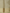 Gold Pure Tissue Silk Ropa Sona Kadiyal Booti Handloom Banarasi sarees