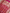 Pure Katan Silk Banarasi Sarees With Multi Colour Mina Work - Rani