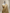 Gold Pure Tissue Silk Ropa Sona Kadiyal Booti Handloom Banarasi sarees