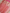 Pure Katan Silk Zari Jaal Patola Banarasi Saree - Pink