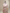Pure Tussar Georgette Brocade Silk Bananasi Saree - Natural Cream