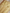 Gold Pure Tissue Silk Ropa Sona Kadiyal Booti Handloom Banarasi sarees